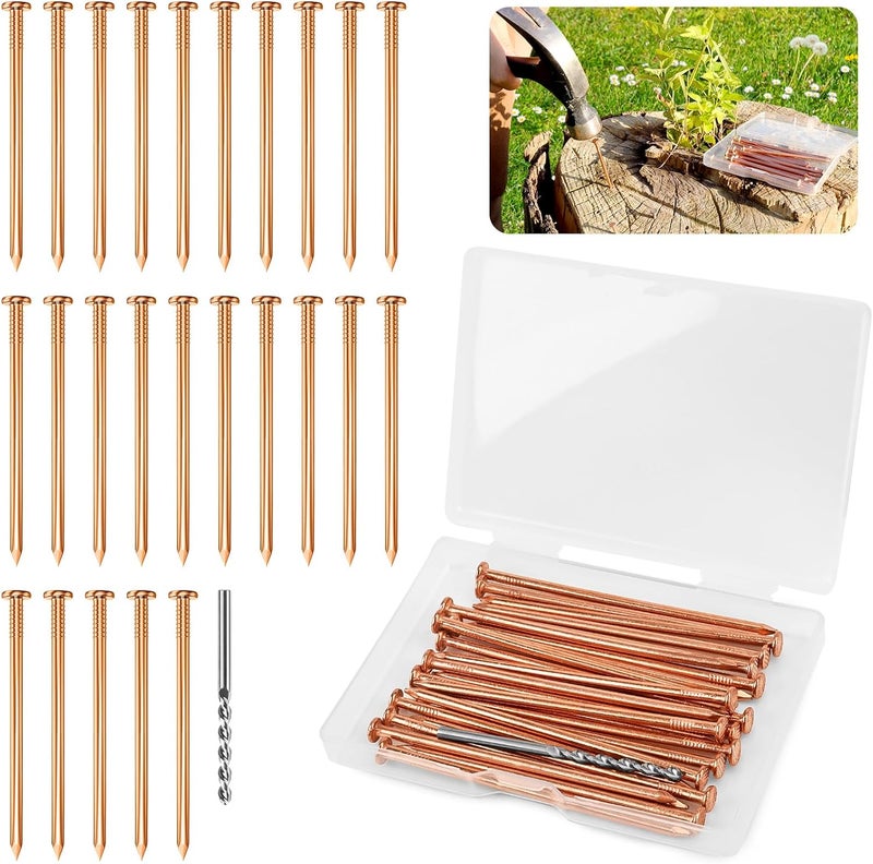 UCandy 25 pcs Copper Nails for Killing Trees Stump Root, 3.15" Copper Nails with Drill, Stump Removal Spikes Hardware Nails for Trees - Image 1
